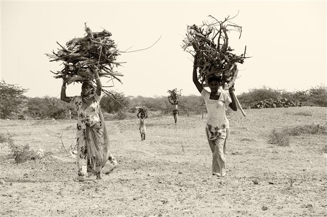 Woman collecting firewood