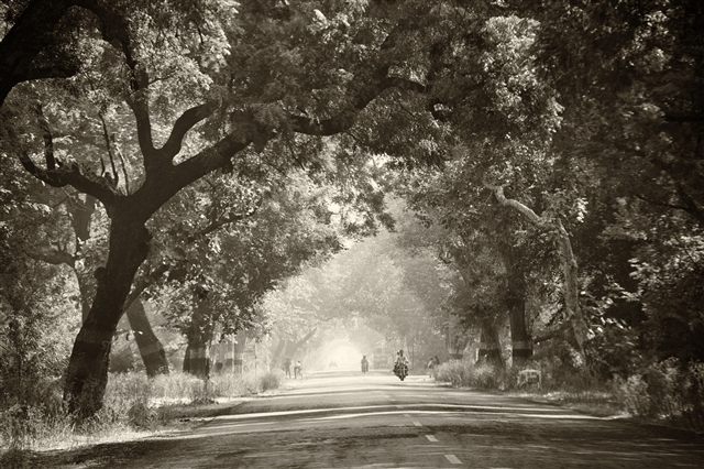 Indian Highway