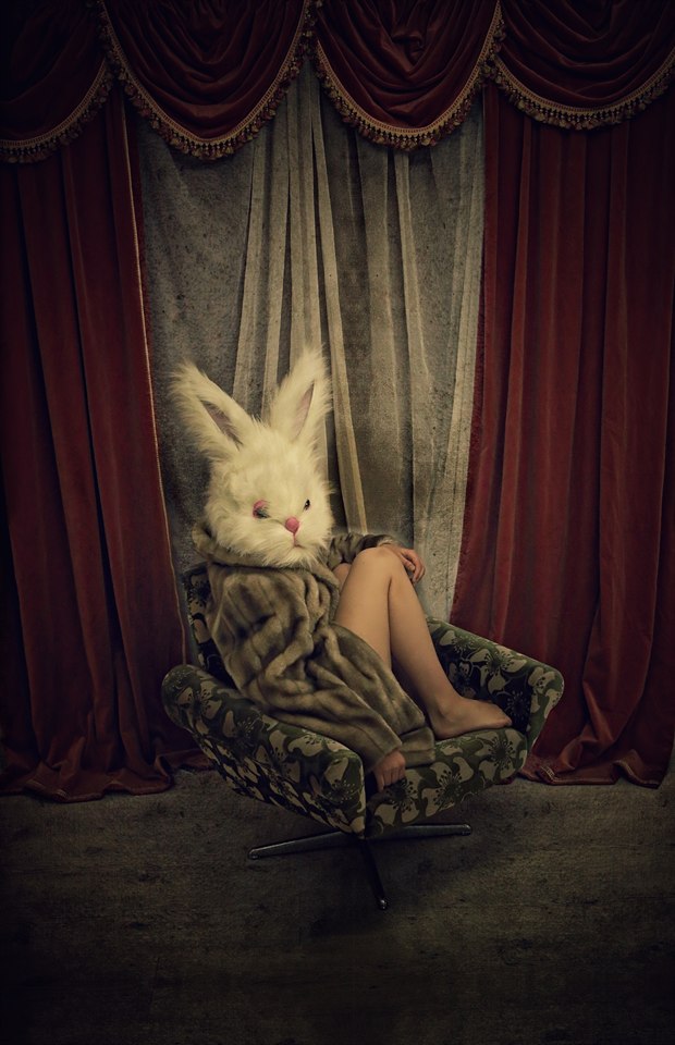 PetraH-Bunny-13