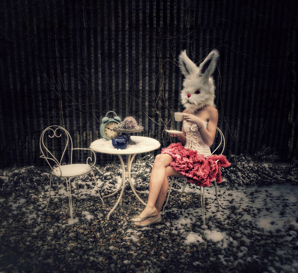 PetraH-Bunny-7